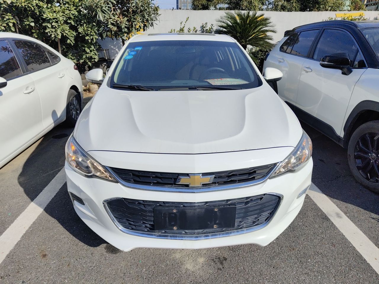 Cavalier 2019 320 AT photo 2