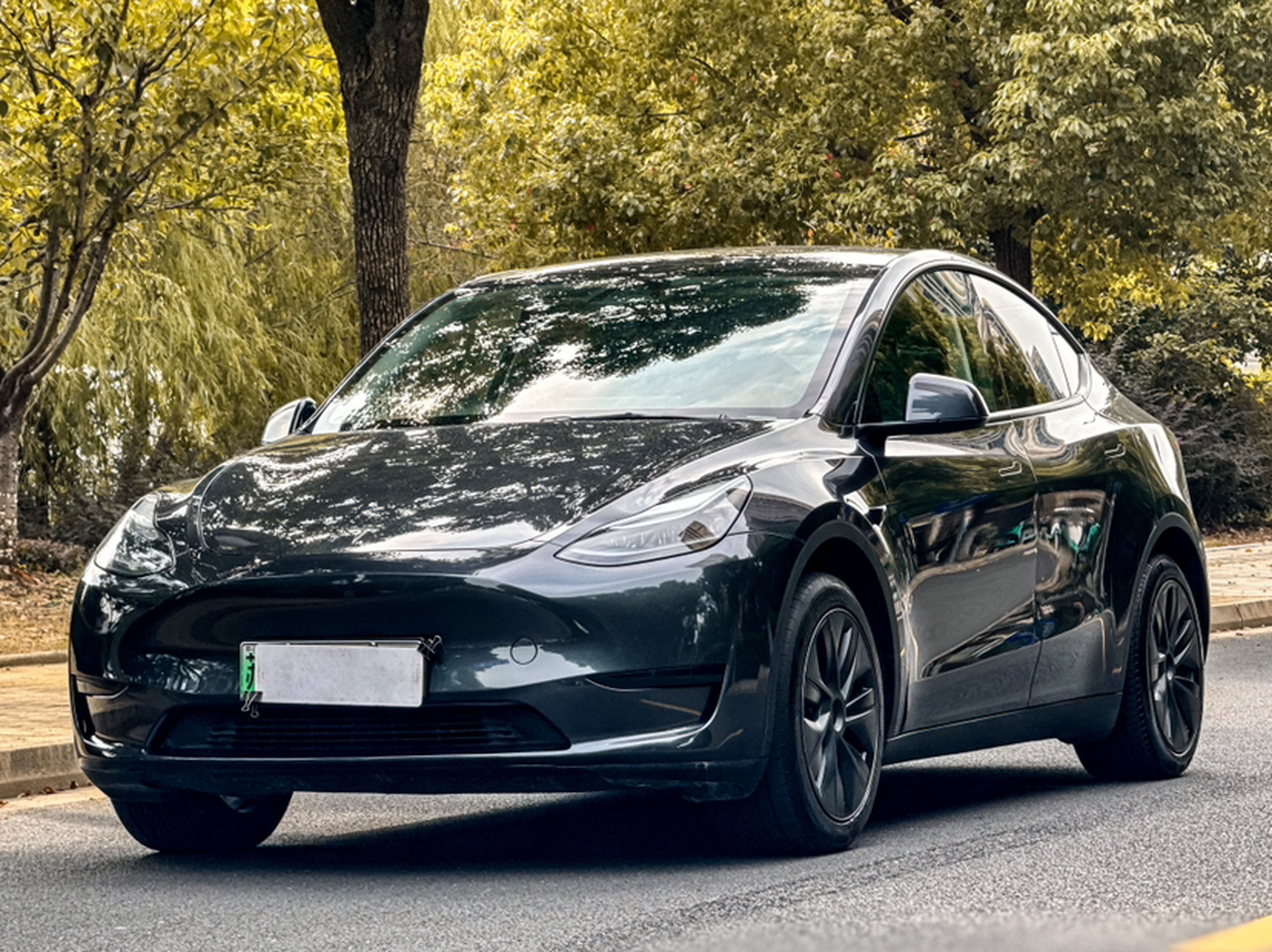 Model Y 2024 RWD