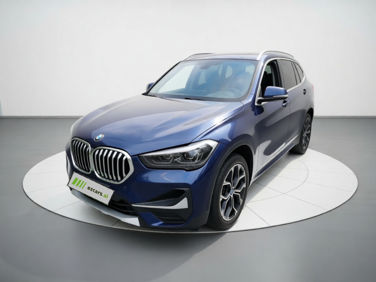 X1 2020 sDrive20Li Exclusive