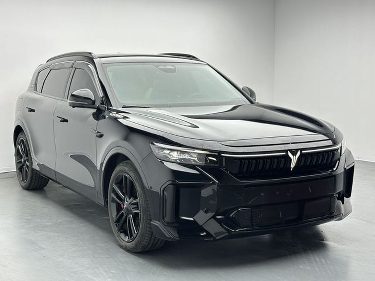 Voyah FREE 2025 318 259km AWD Explorer photo 4