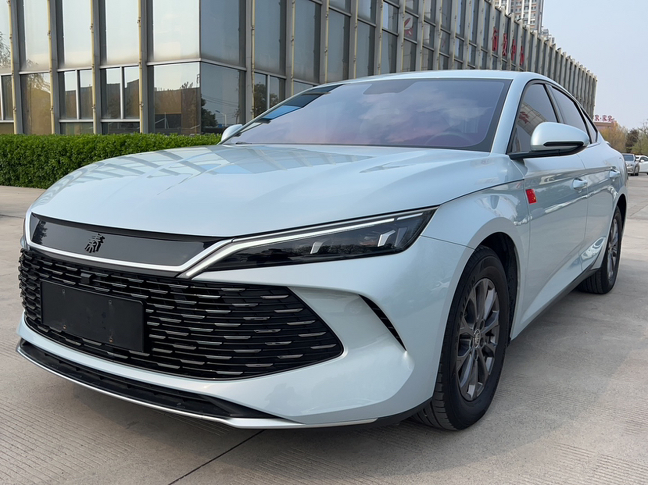 Qin L 2024 DM-i 80KM Leading