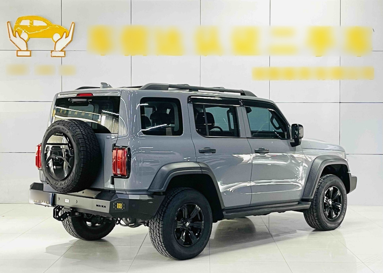 300 2021 Off-road 2.0T Conqueror photo 3
