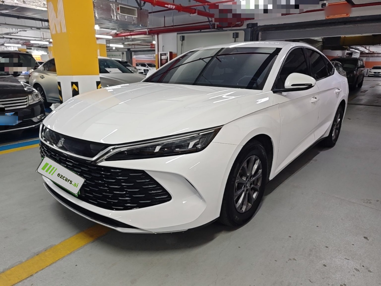 Qin L 2024 DM-i 80KM Leading