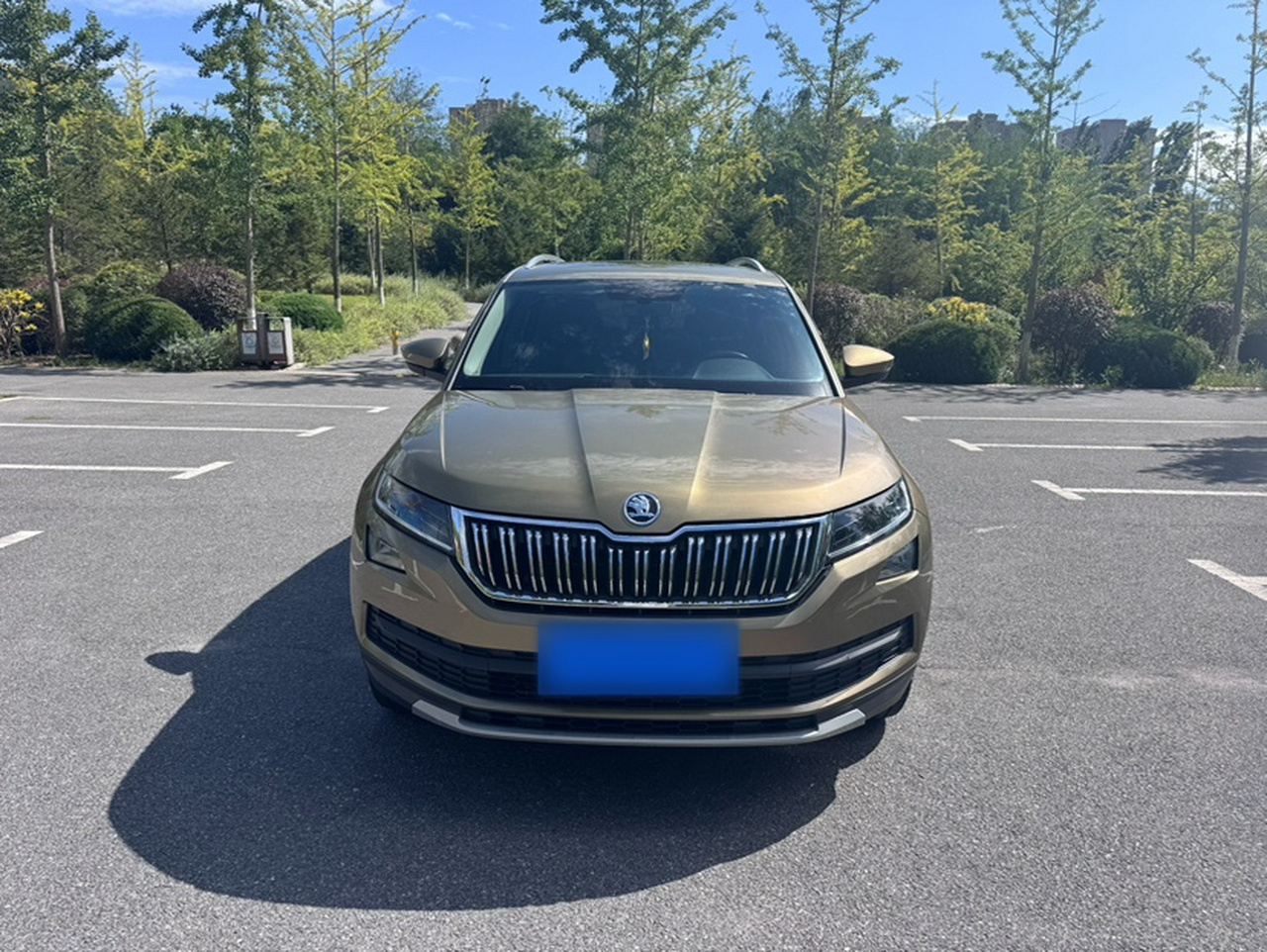 Kodiaq 2017 TSI330 7-Seater RWD Luxury photo 2