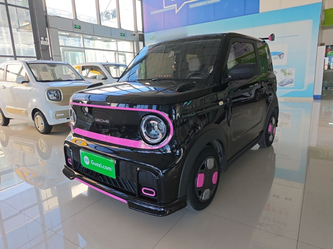 2025 210km Panda