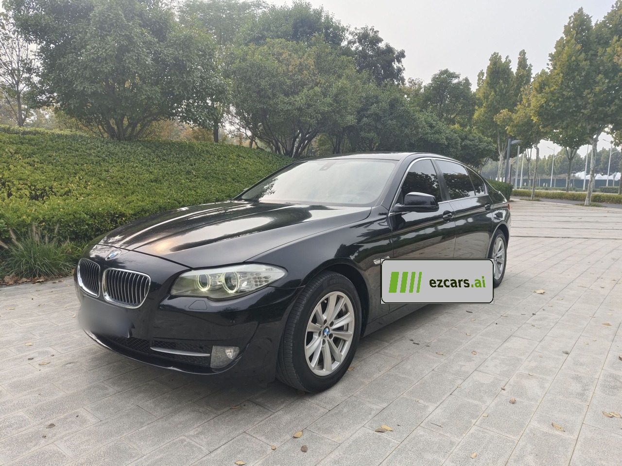5 Series 2013 525Li Luxury