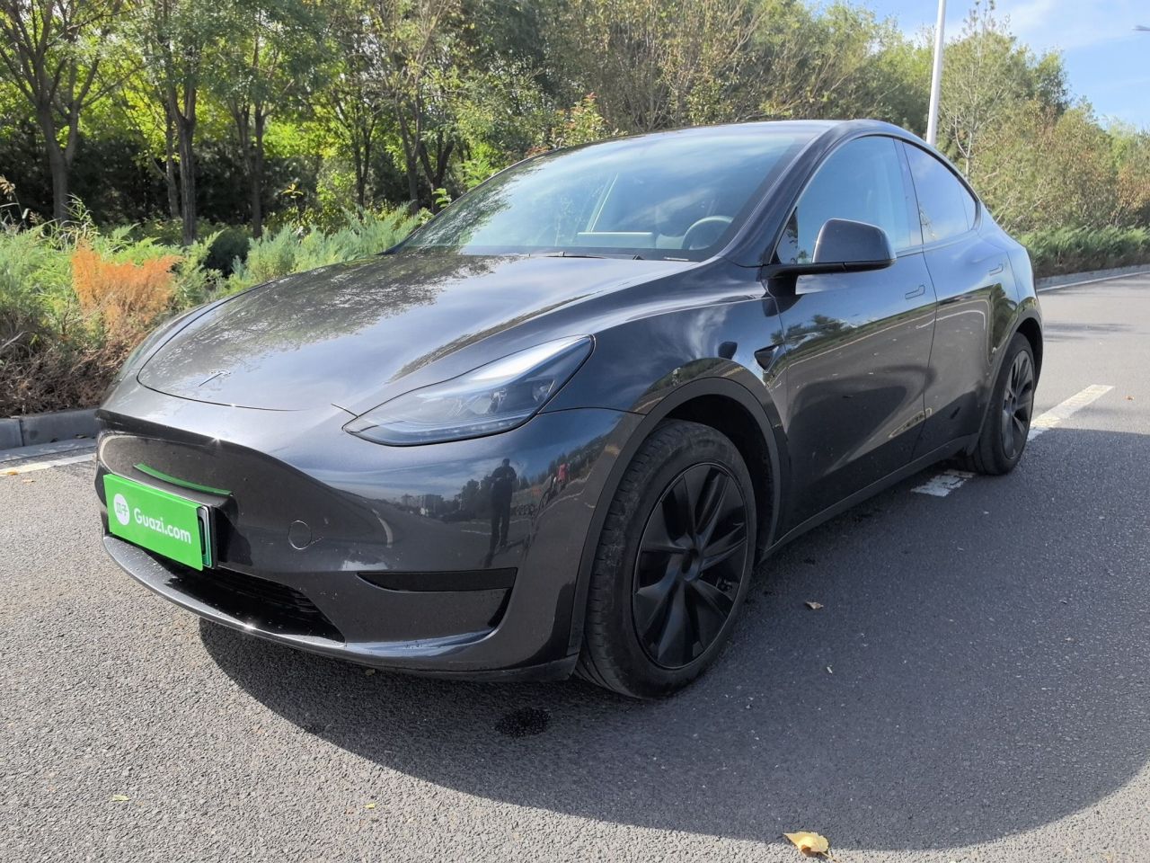Model Y 2024 RWD