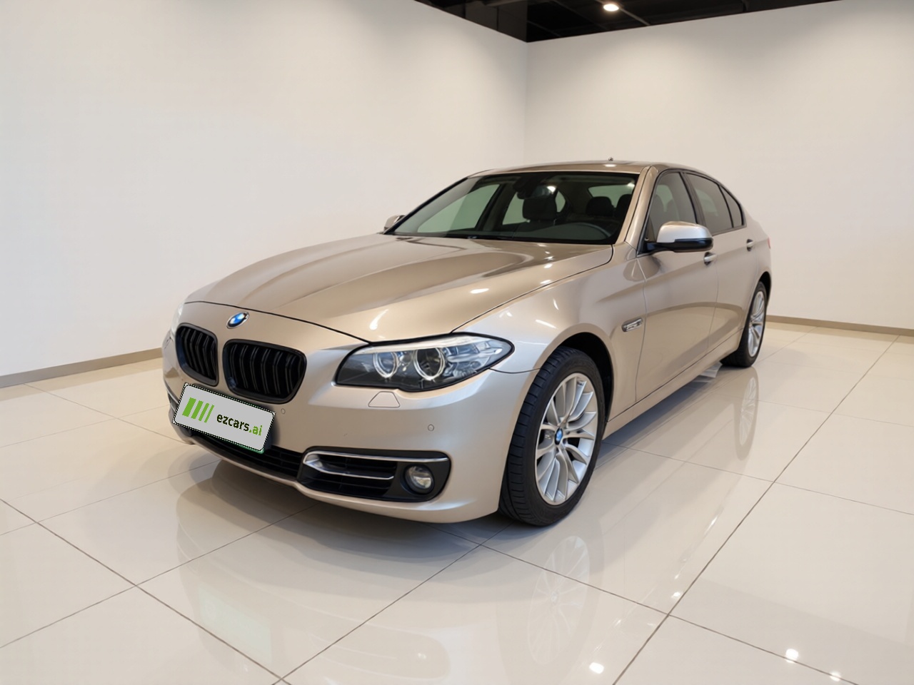 5 Series 2014 525Li Luxury Design Package