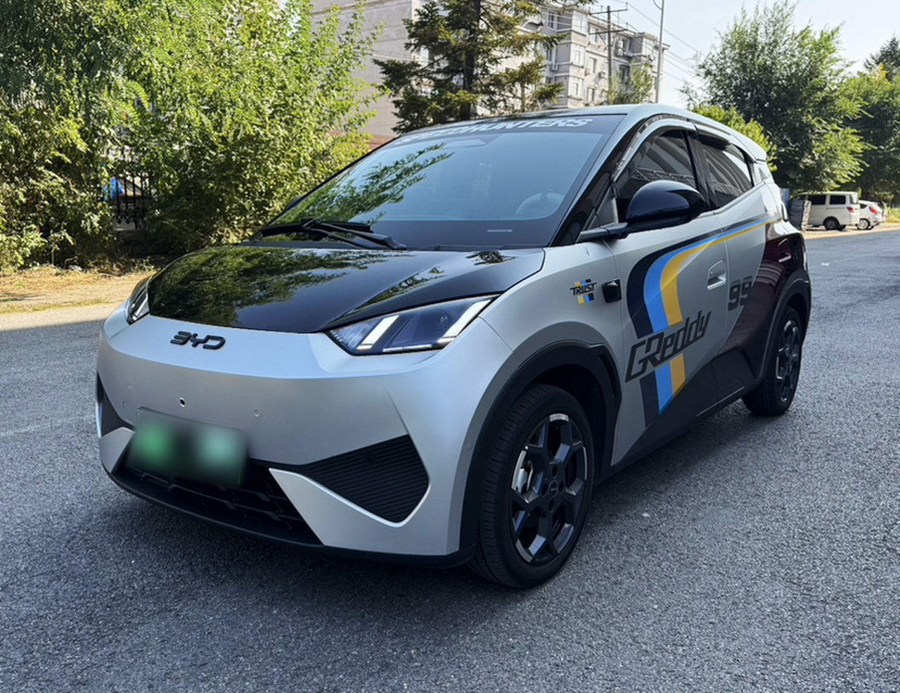 Seagull 2025 ADAS 305km