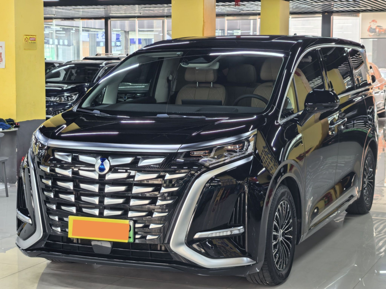 D9 2024 DM-i 980 AWD Noble