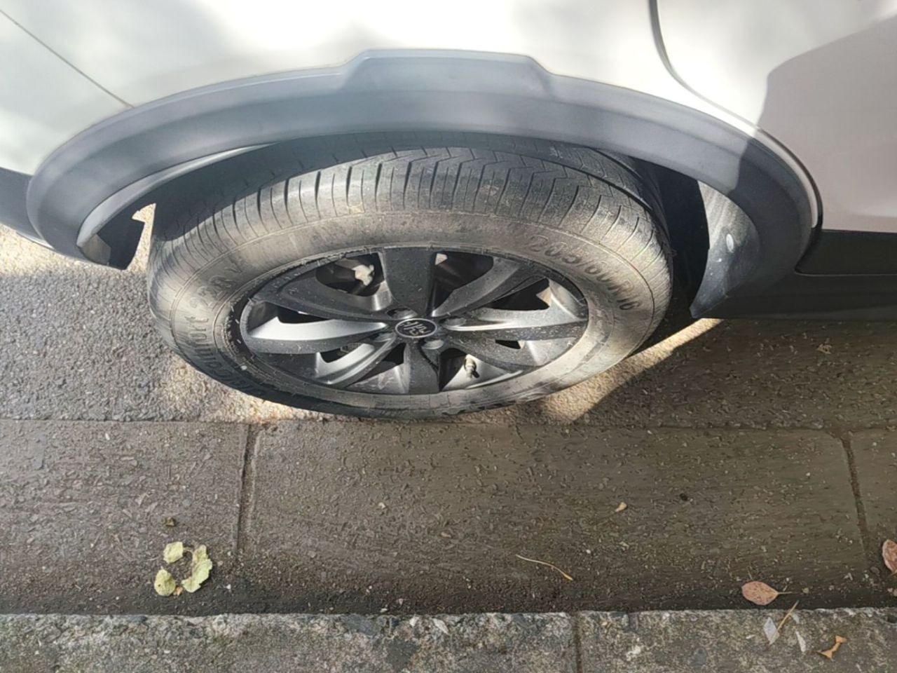 Yuan EV 2019 EV535 Connected photo 4