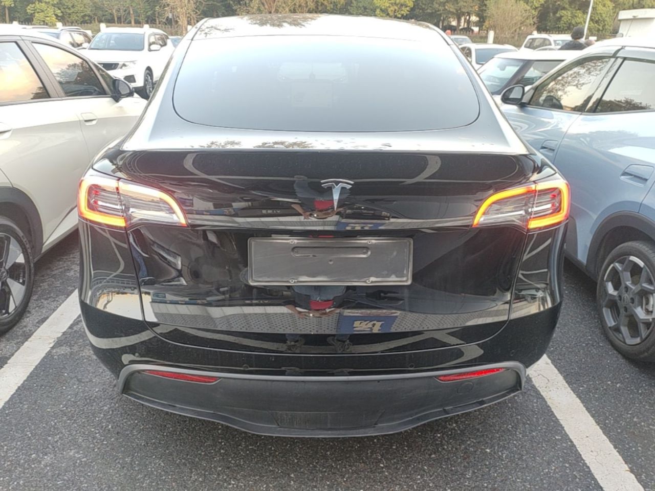 Model Y 2023 RWD photo 5
