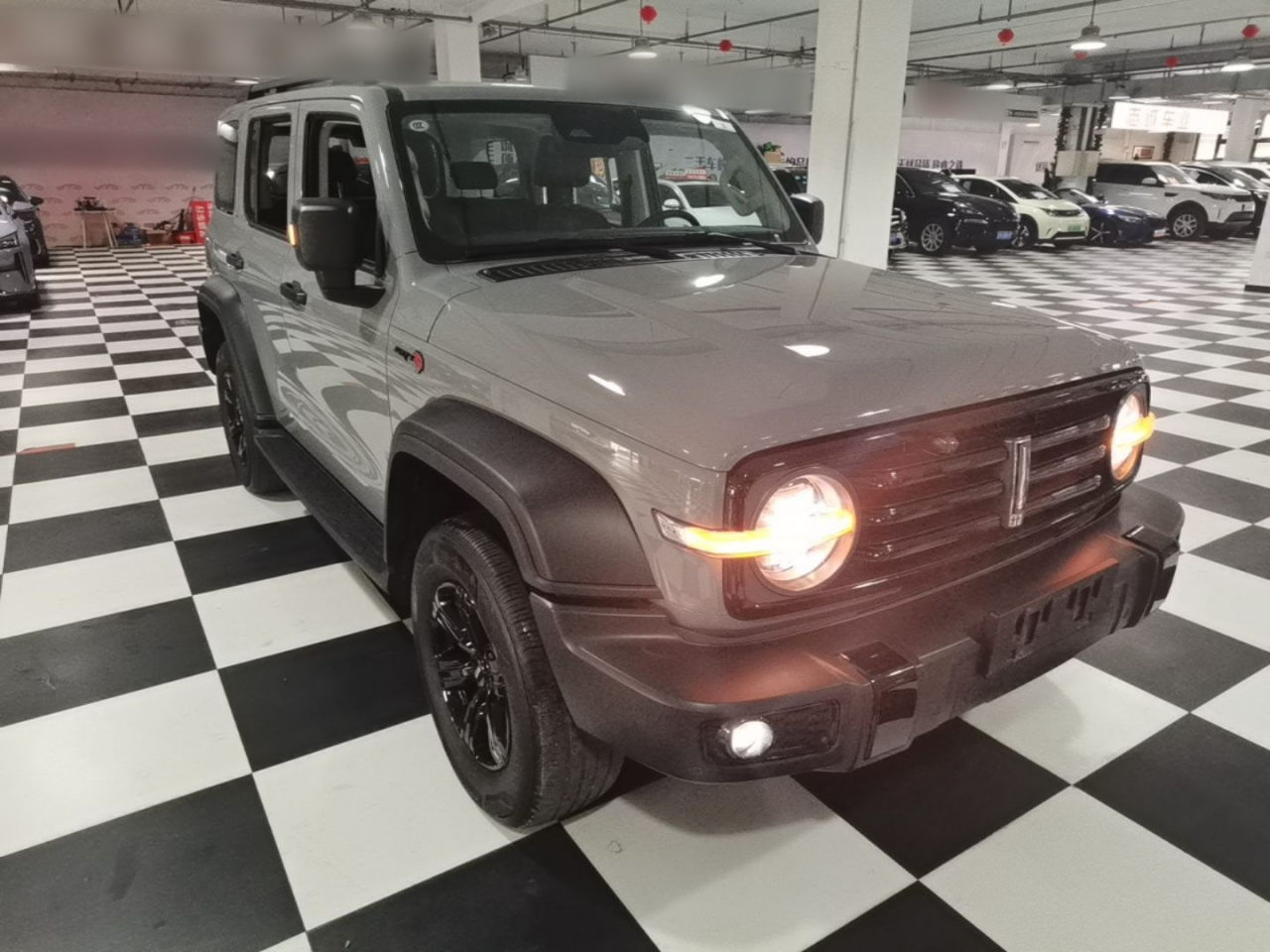 300 2021 Off-road 2.0T Conqueror photo 5