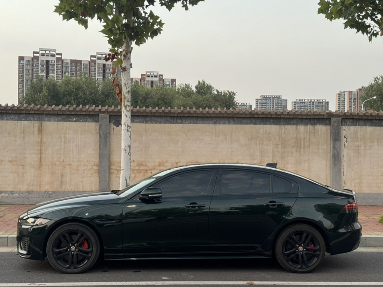 XEL 2022 2.0T 250PS R-DYNAMIC S Progressive Sport photo 2