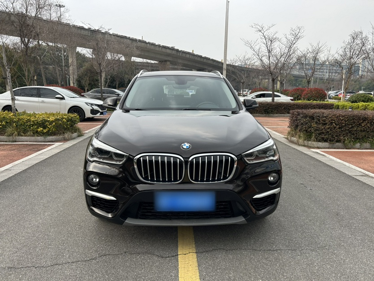 X1 2019 sDrive20Li Leading photo 2