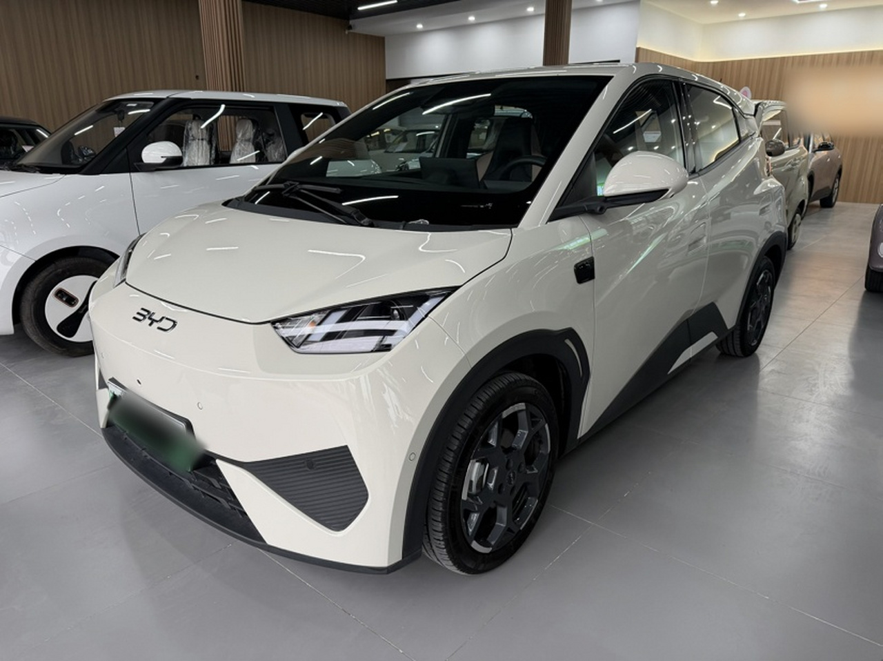 Seagull 2025 ADAS 305km