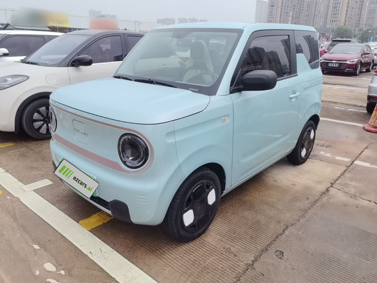 2023 Panda mini 200km Endurance Bear