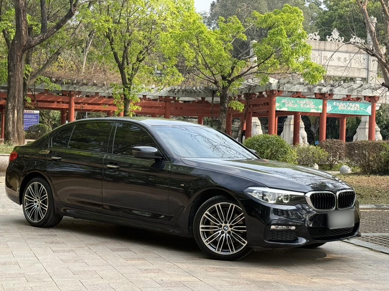 5 Series 2018 530Li Leading M Sport Package photo 5