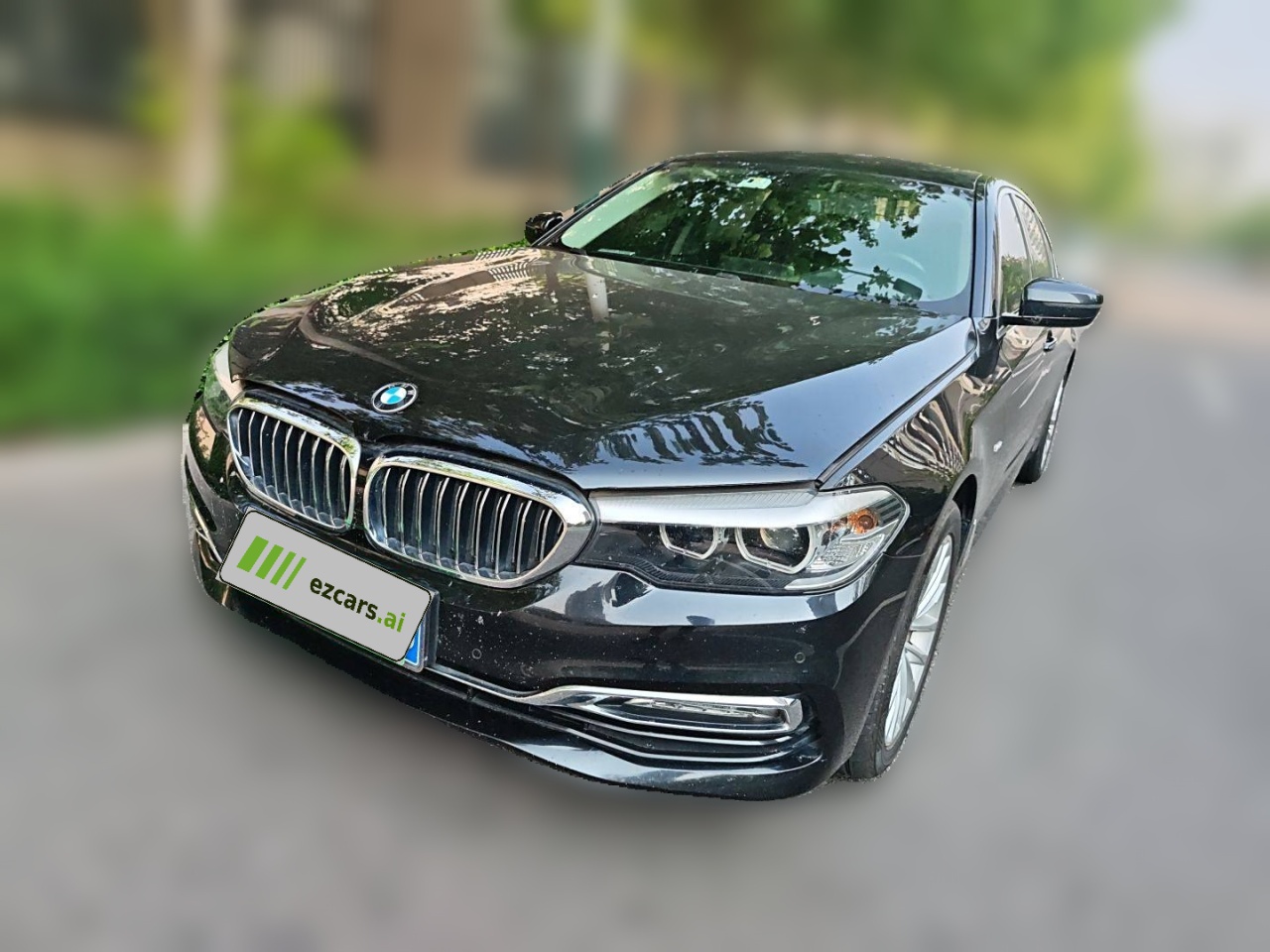 5 Series 2018 Facelift 530Li Leading Luxury