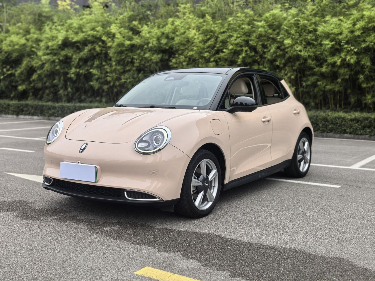 Good Cat 2022 400km Standard Range Luxury LFP