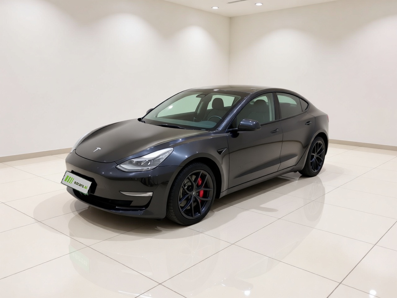 Model 3 2022 Performance AWD