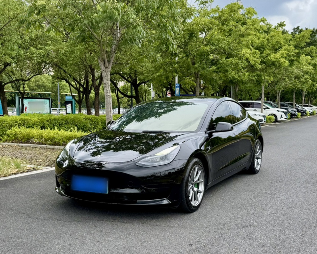 Model 3 2021 Standard Range RWD Upgraded 3D6
