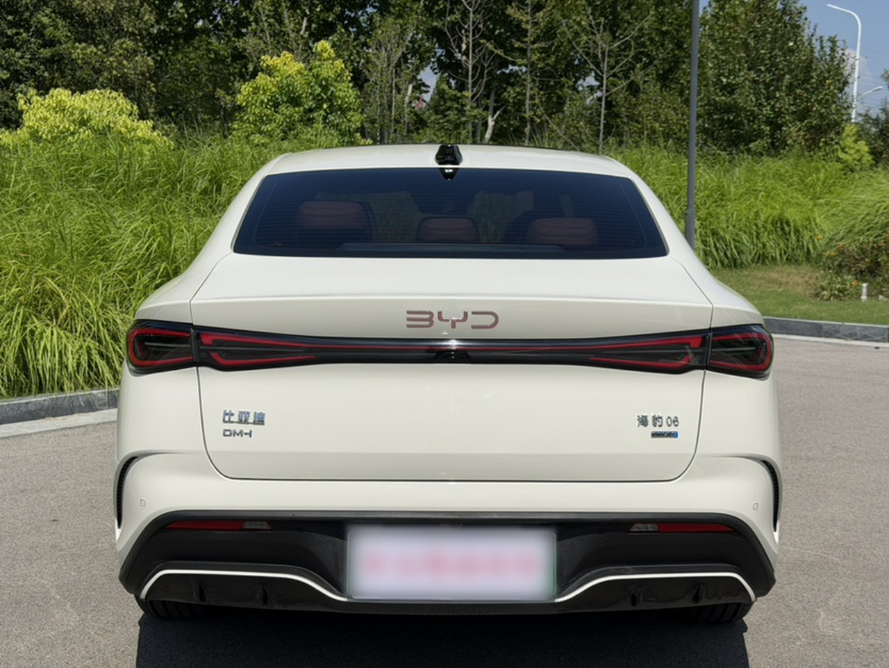 Seal 06 EV 2025 DM-i ADAS 120KM Exclusive photo 4