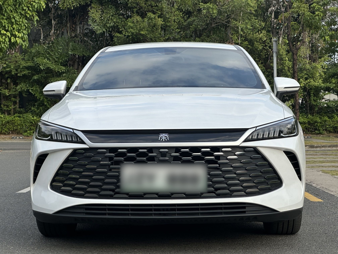 Qin PLUS 2025 DM-i ADAS 55KM Leading photo 4