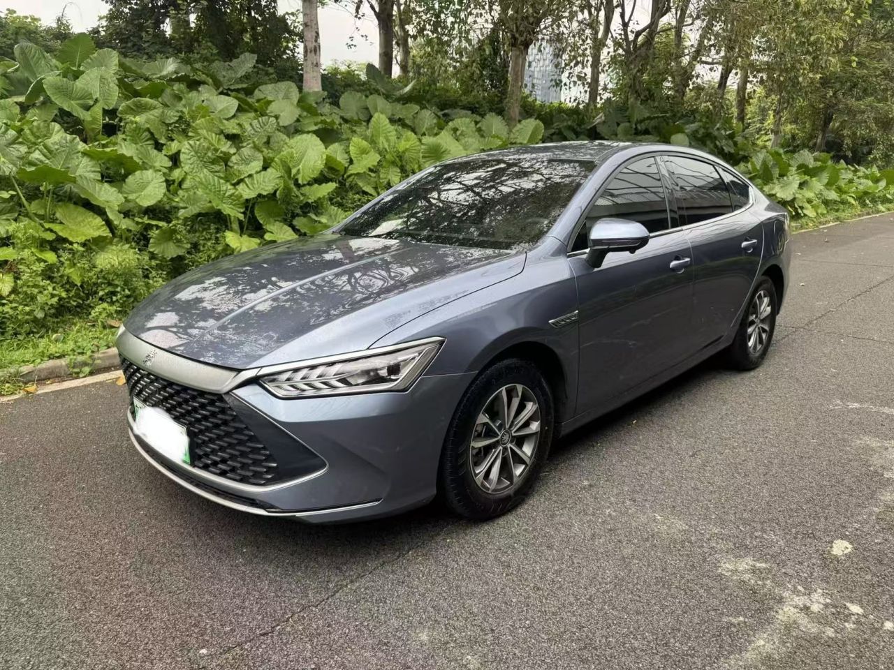 Qin PLUS 2024 Honor DM-i 55KM Leading