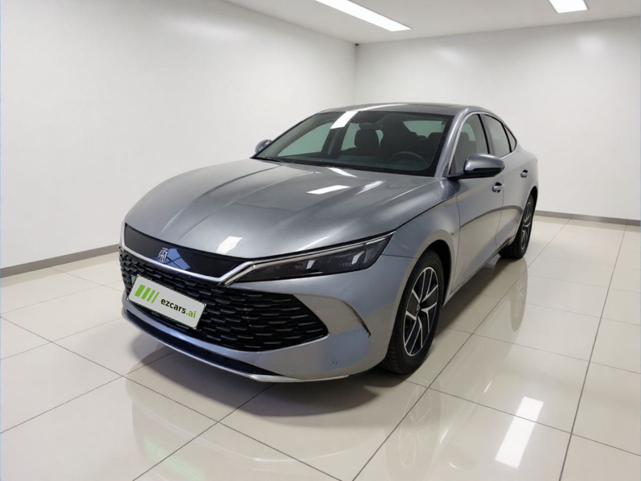 Qin L 2024 DM-i 80KM