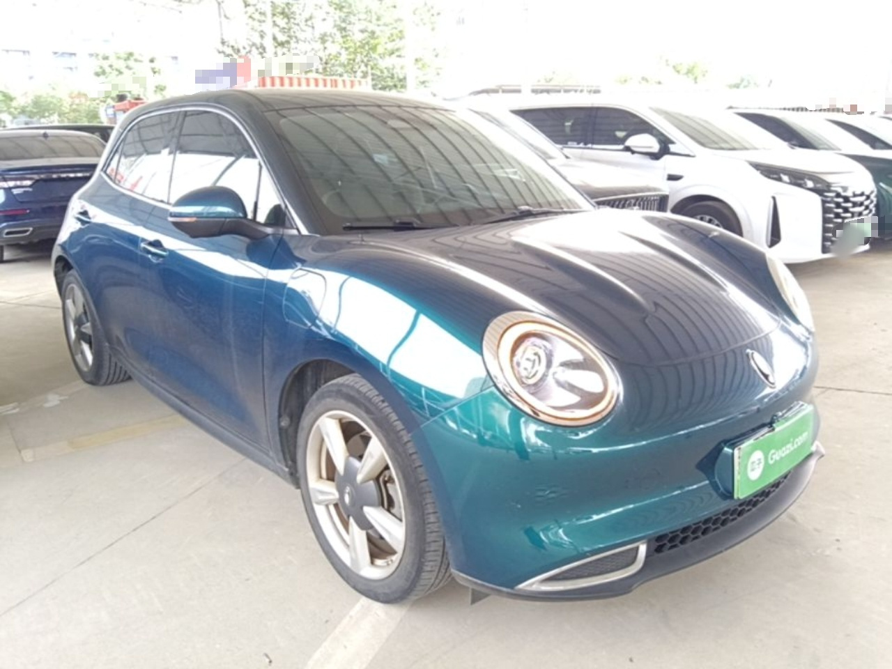 Good Cat 2021 400km Standard Range LFP photo 3