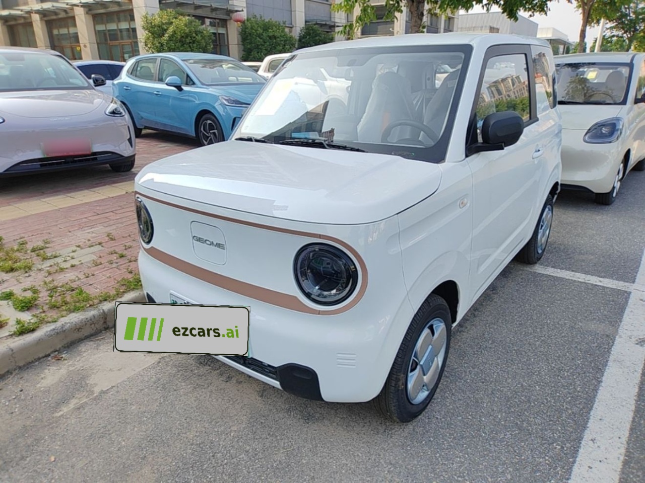 2024 Panda mini 200km Endurance Bear