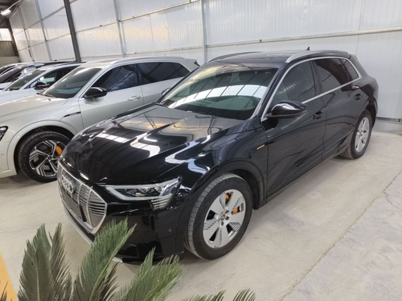e-tron Imported 2019 55 quattro Fashion