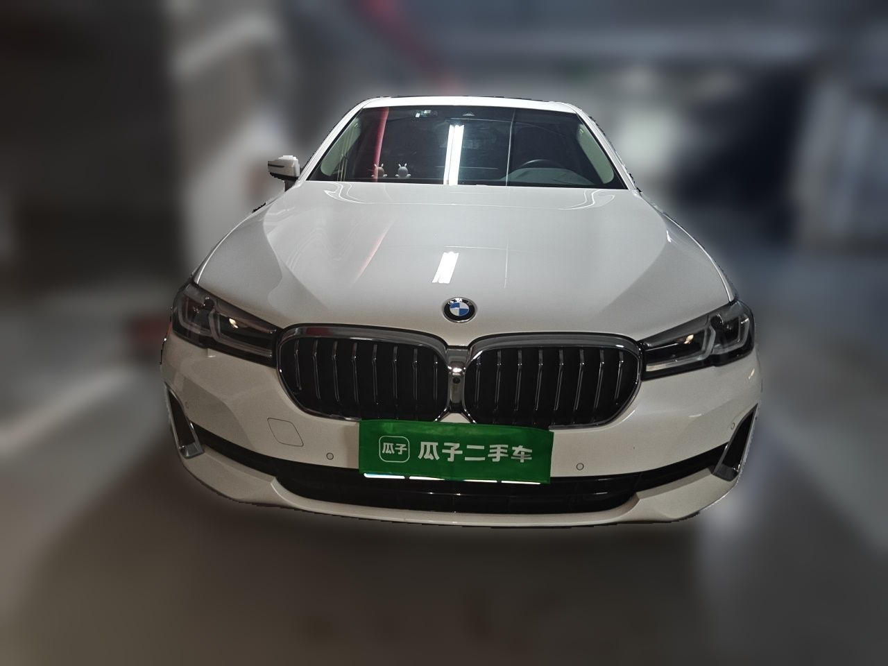 5 Series 2021 530Li Leading Luxury photo 2