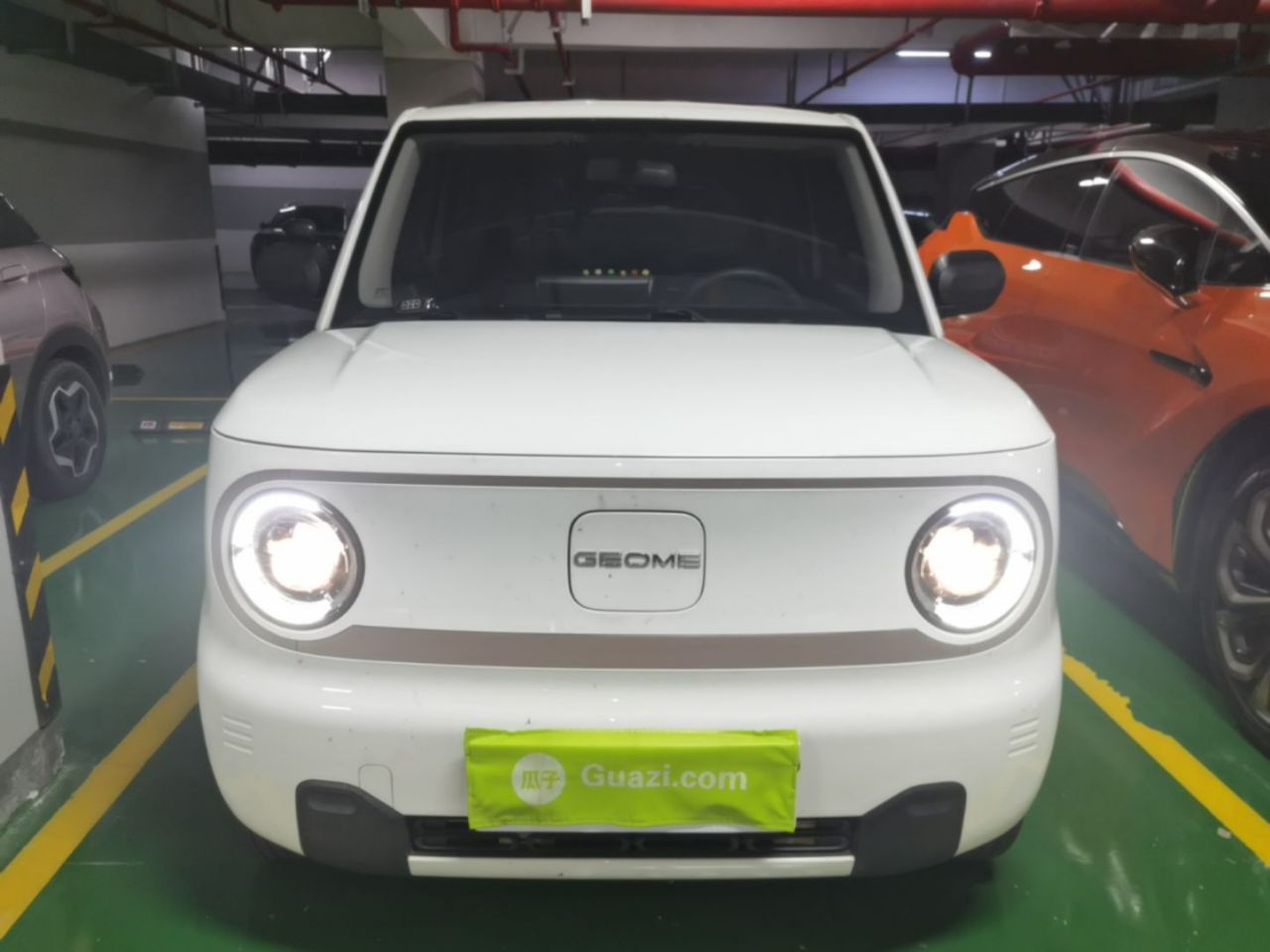 2023 Panda mini 200km Endurance Bear photo 2