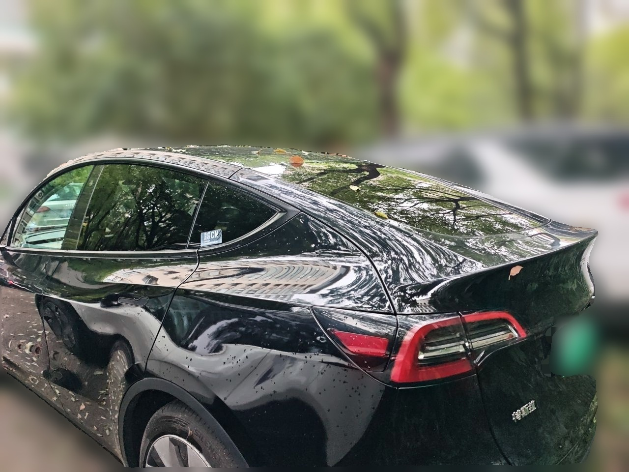 Model Y 2022 Facelift RWD photo 4