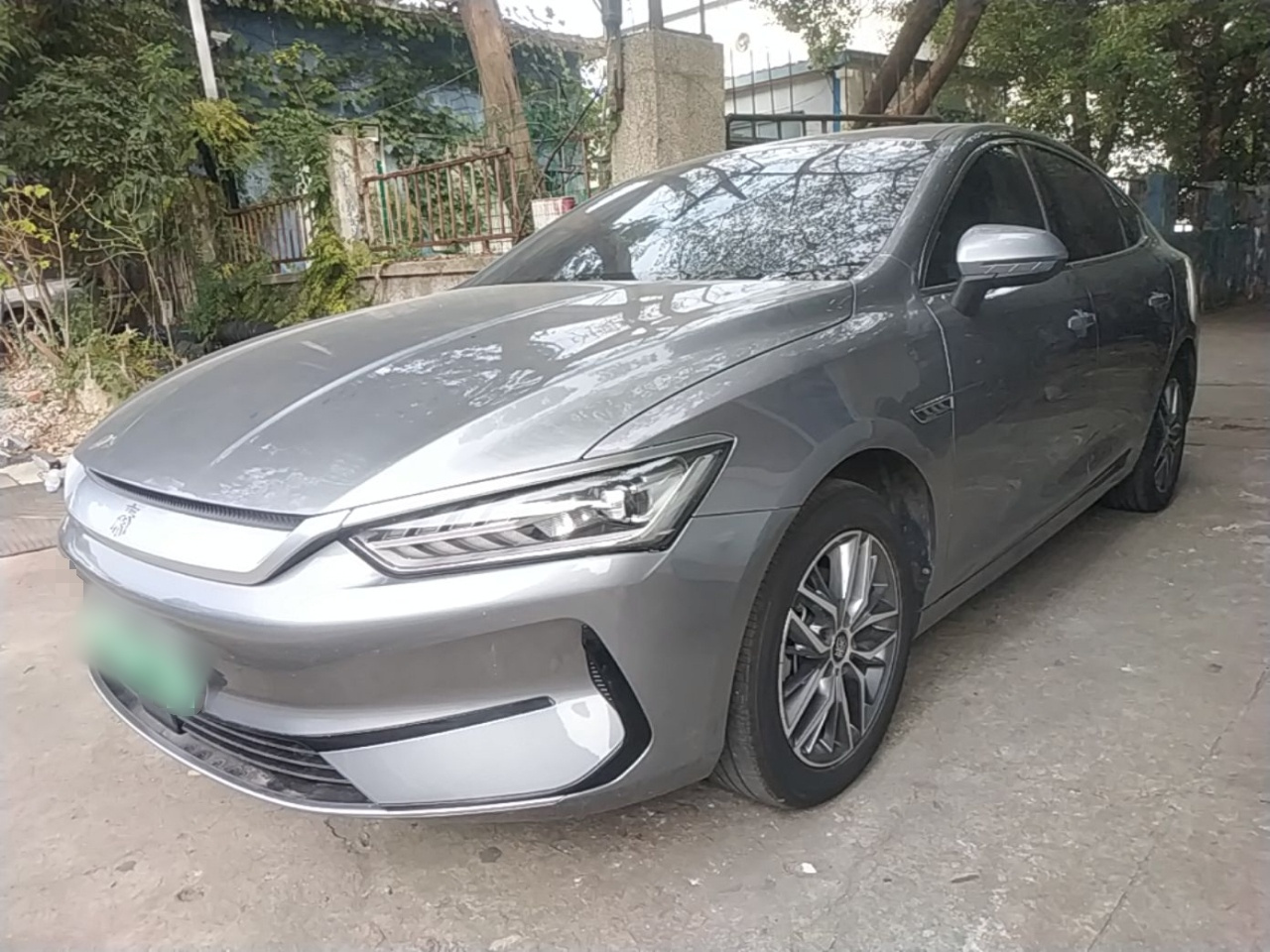 Qin PLUS 2024 Honor EV 510KM Leading