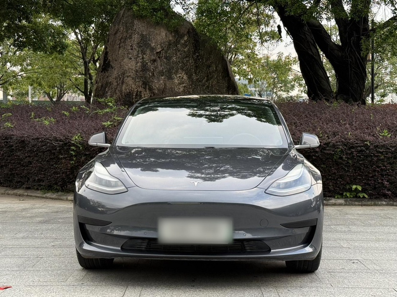 Model 3 2019 Standard Range RWD Upgraded photo 3
