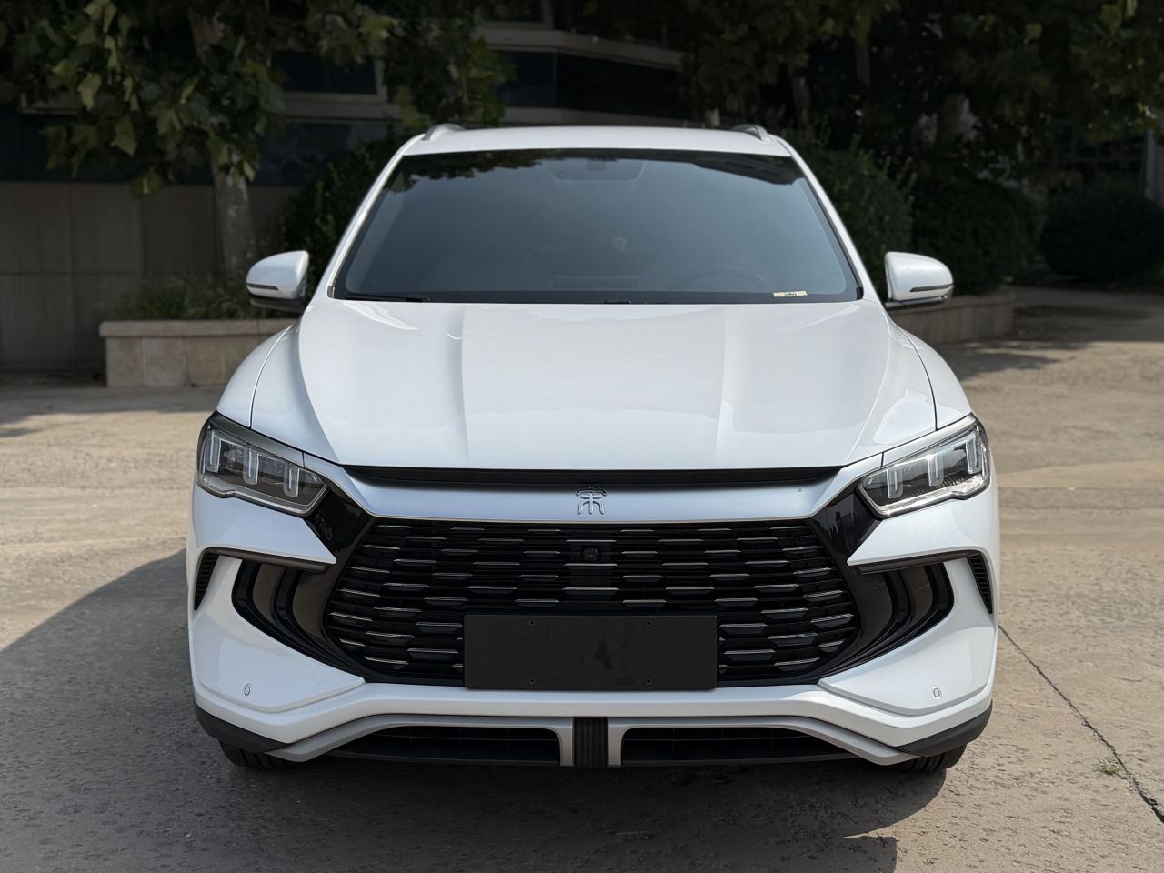 Song Pro EV 2024 Honor DM-i 71KM Pilot photo 2