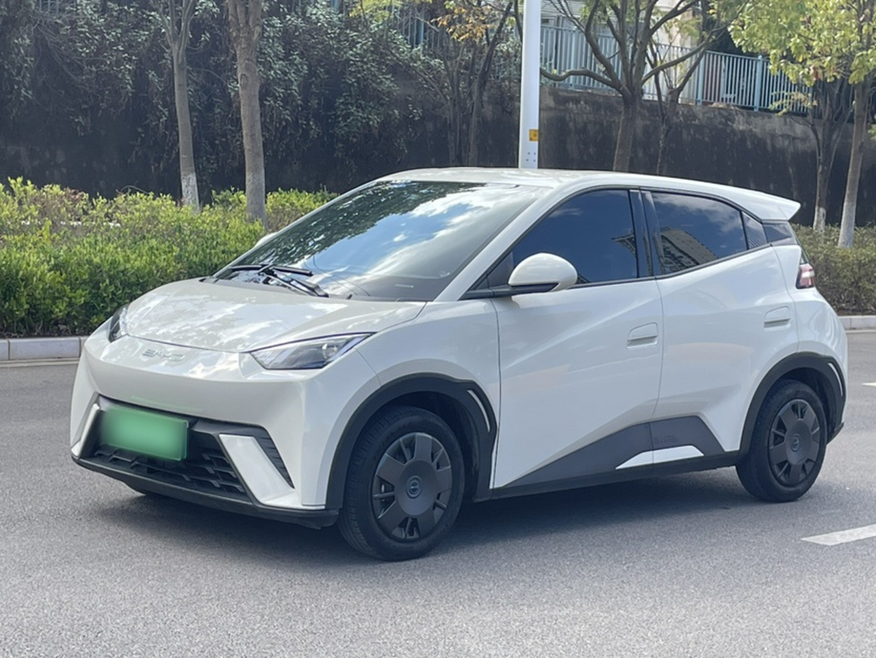 Seagull 2025 305km