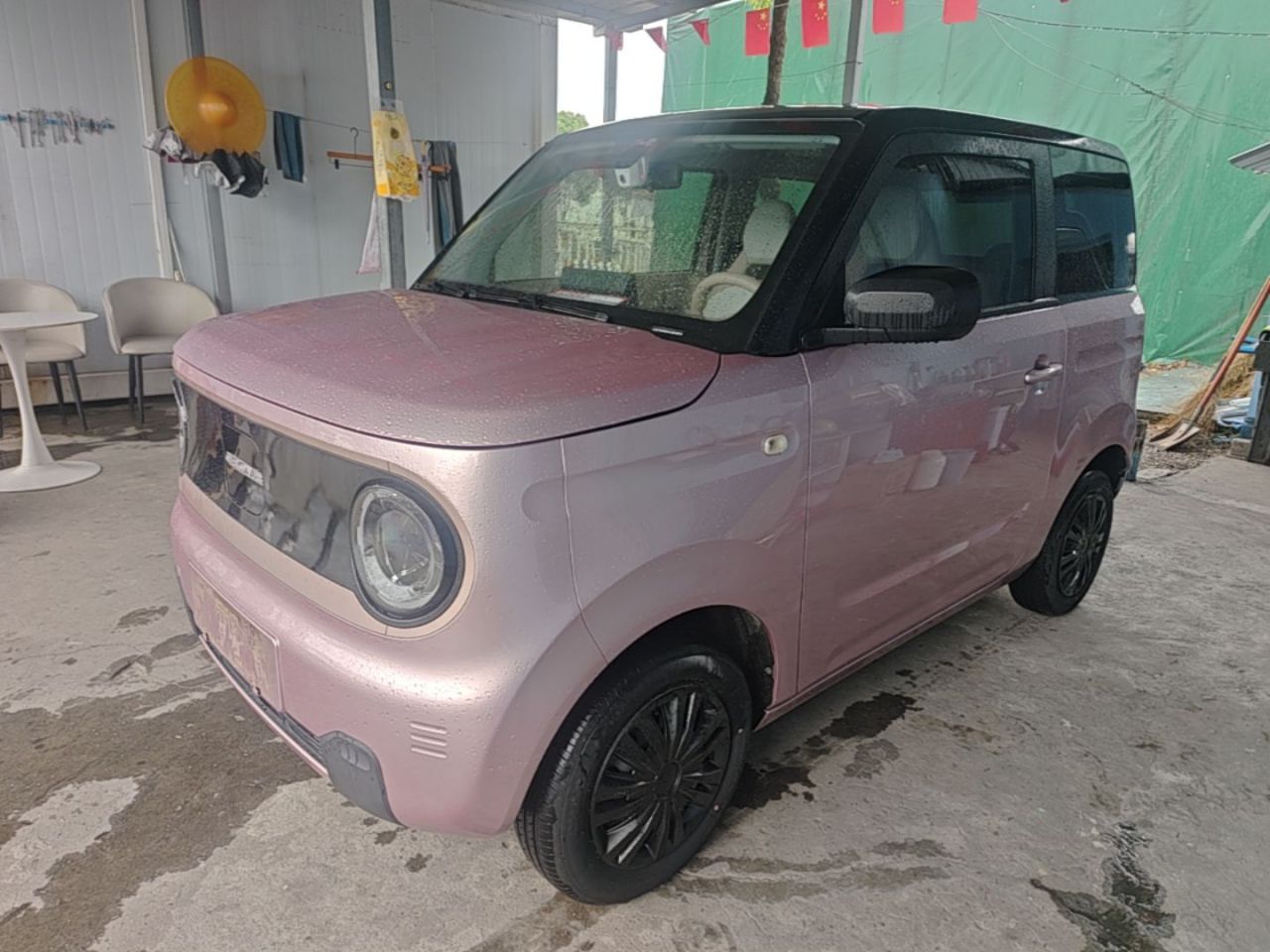 2024 Panda mini 200km Endurance Bear