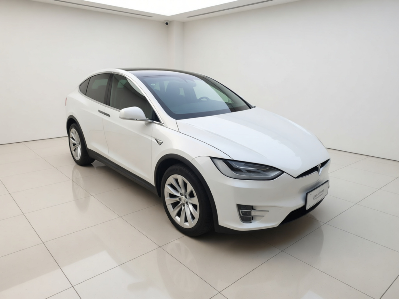 2017 Model X 100D Long Range photo 3
