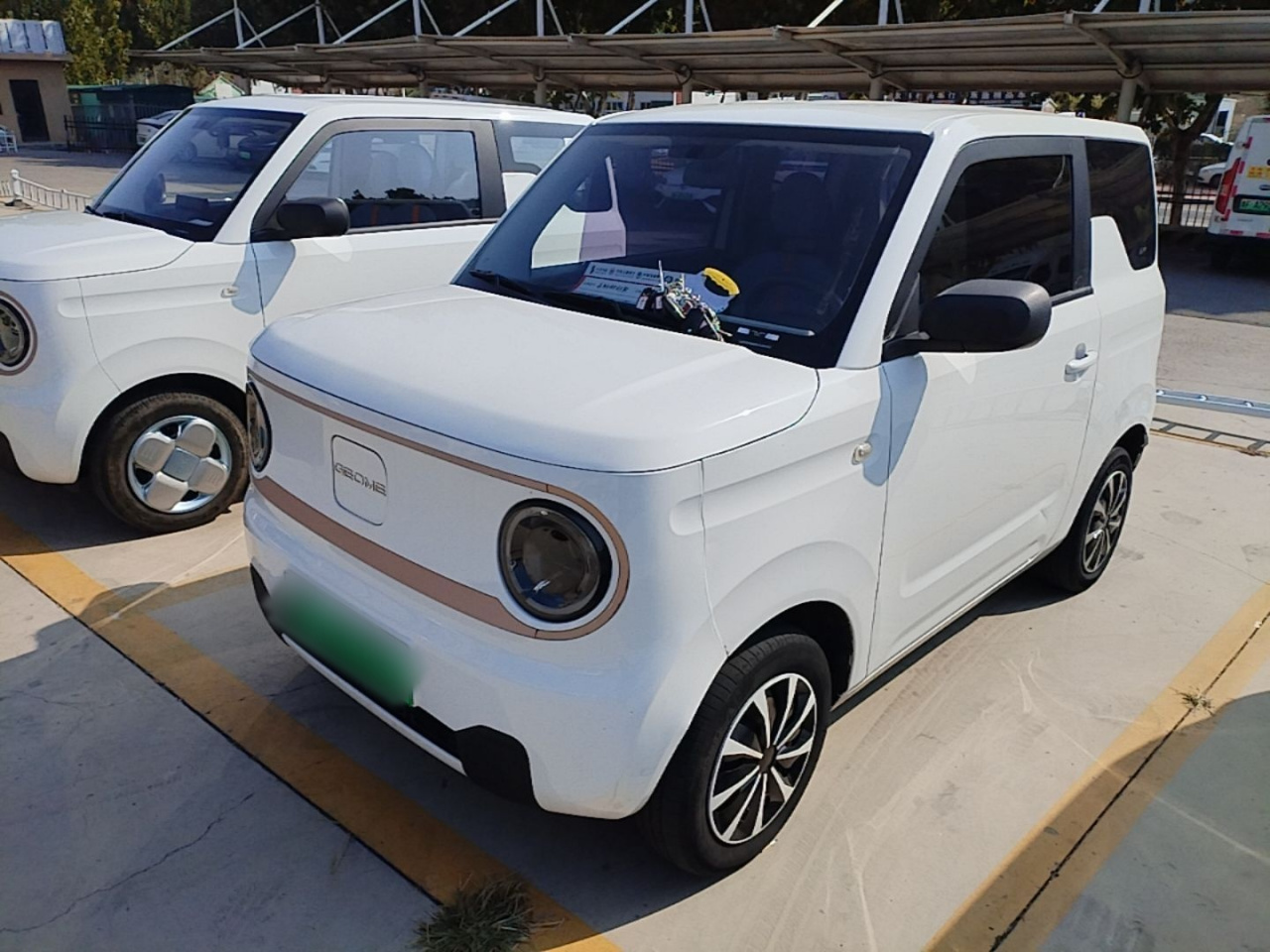 2023 Panda mini 200km Endurance Bear
