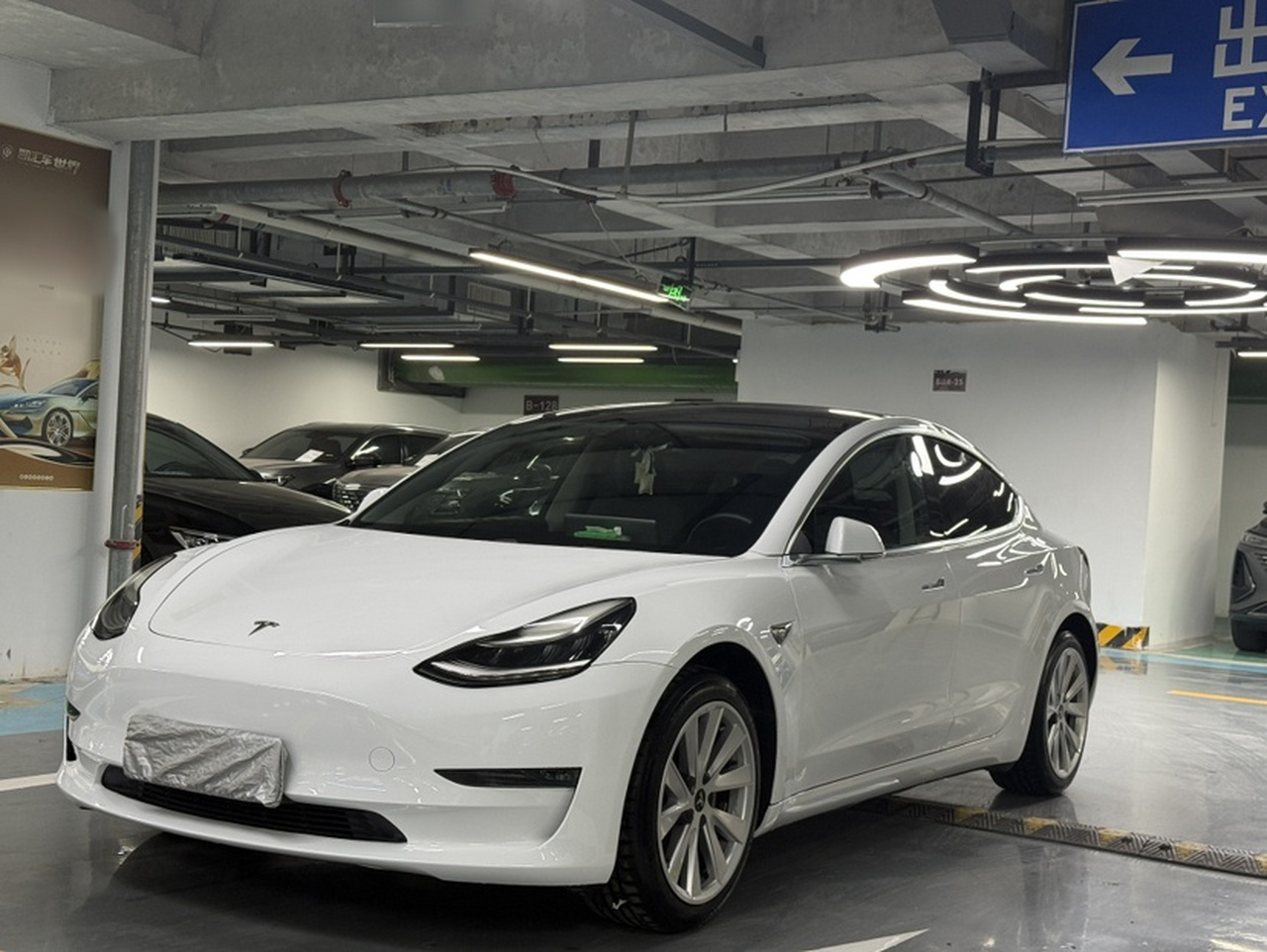 Model 3 Imported 2019 Long Range RWD