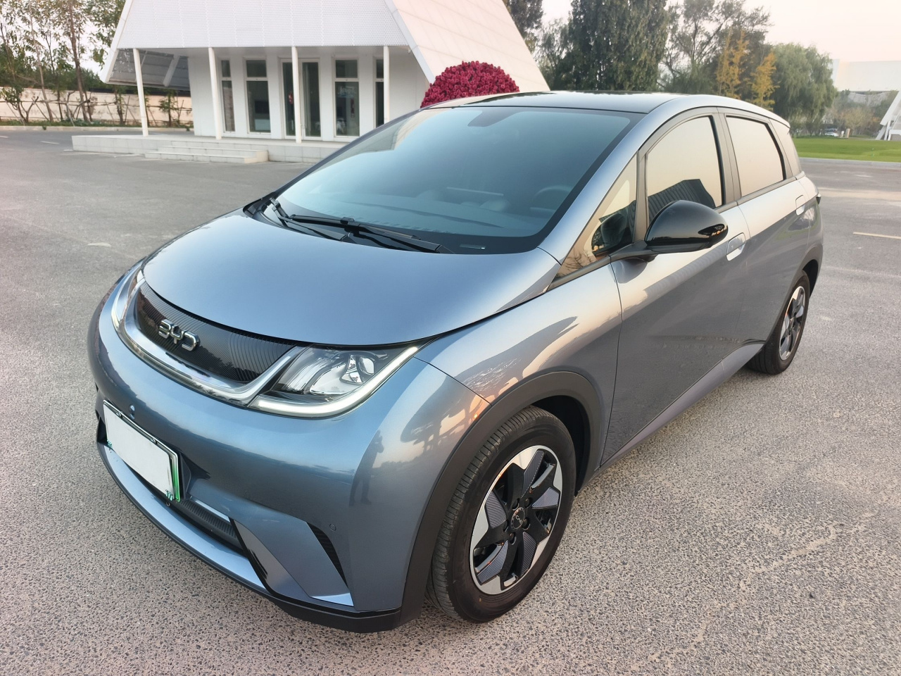 Dolphin 2024 Honor 420km Fashion
