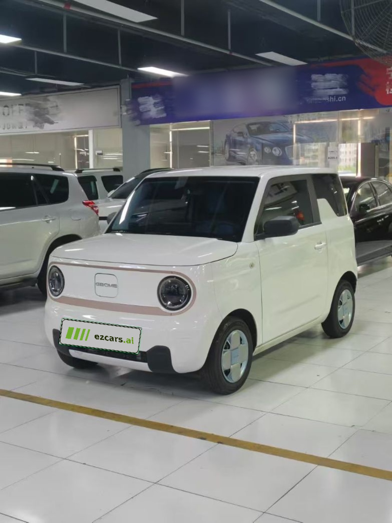 2023 Panda mini 120km