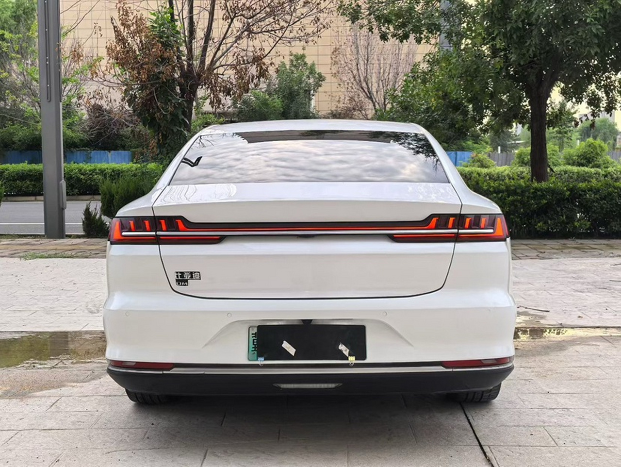 Han 2020 DM AWD Performance Luxury photo 2