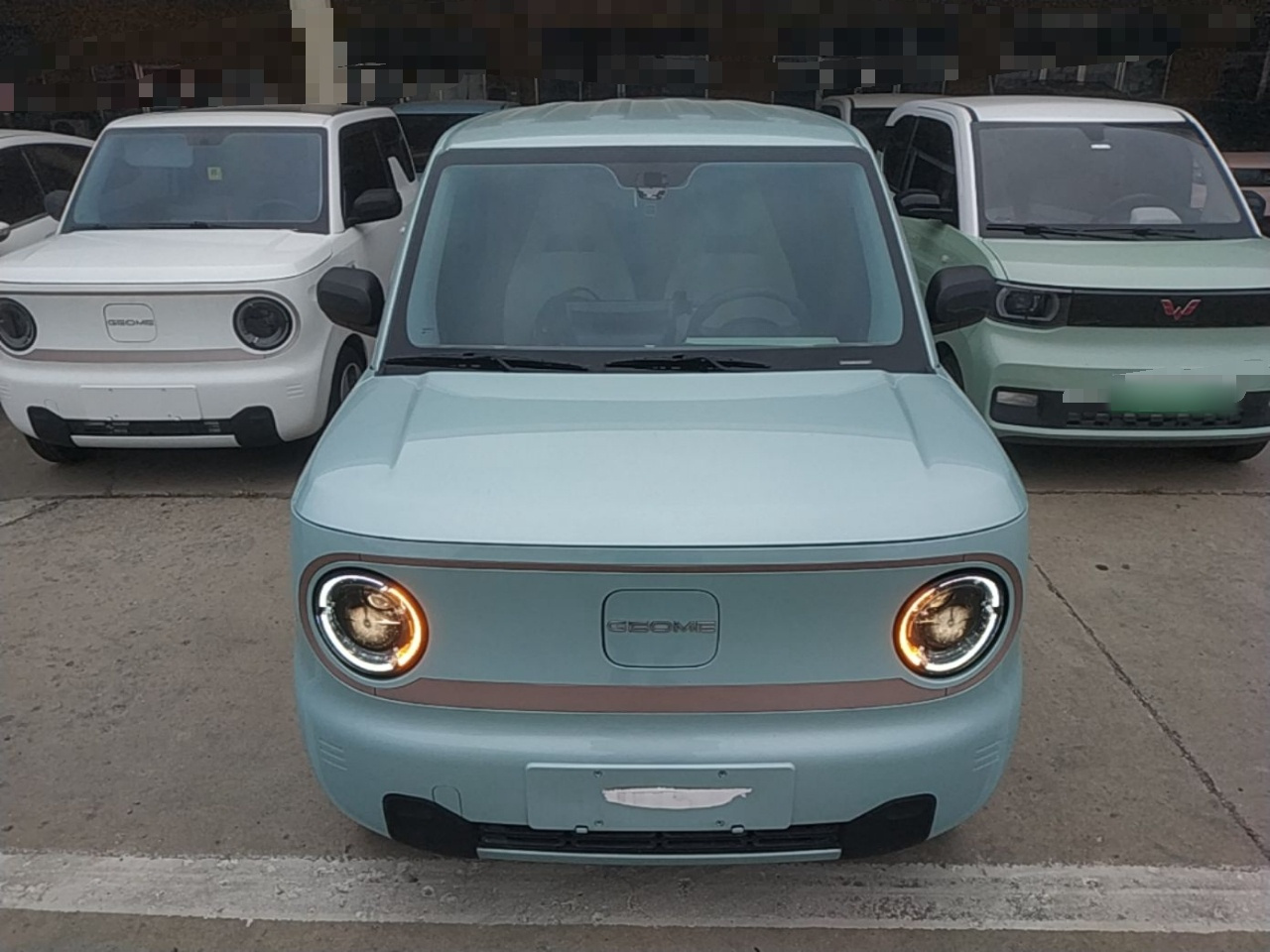 2024 Panda mini 200km Endurance Bear photo 2
