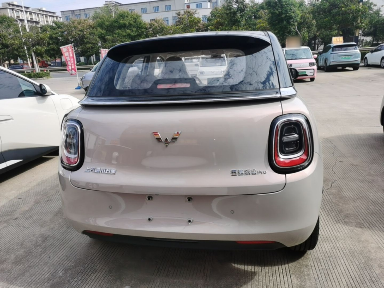 Bingo Pro 2026 330km Exclusive photo 5
