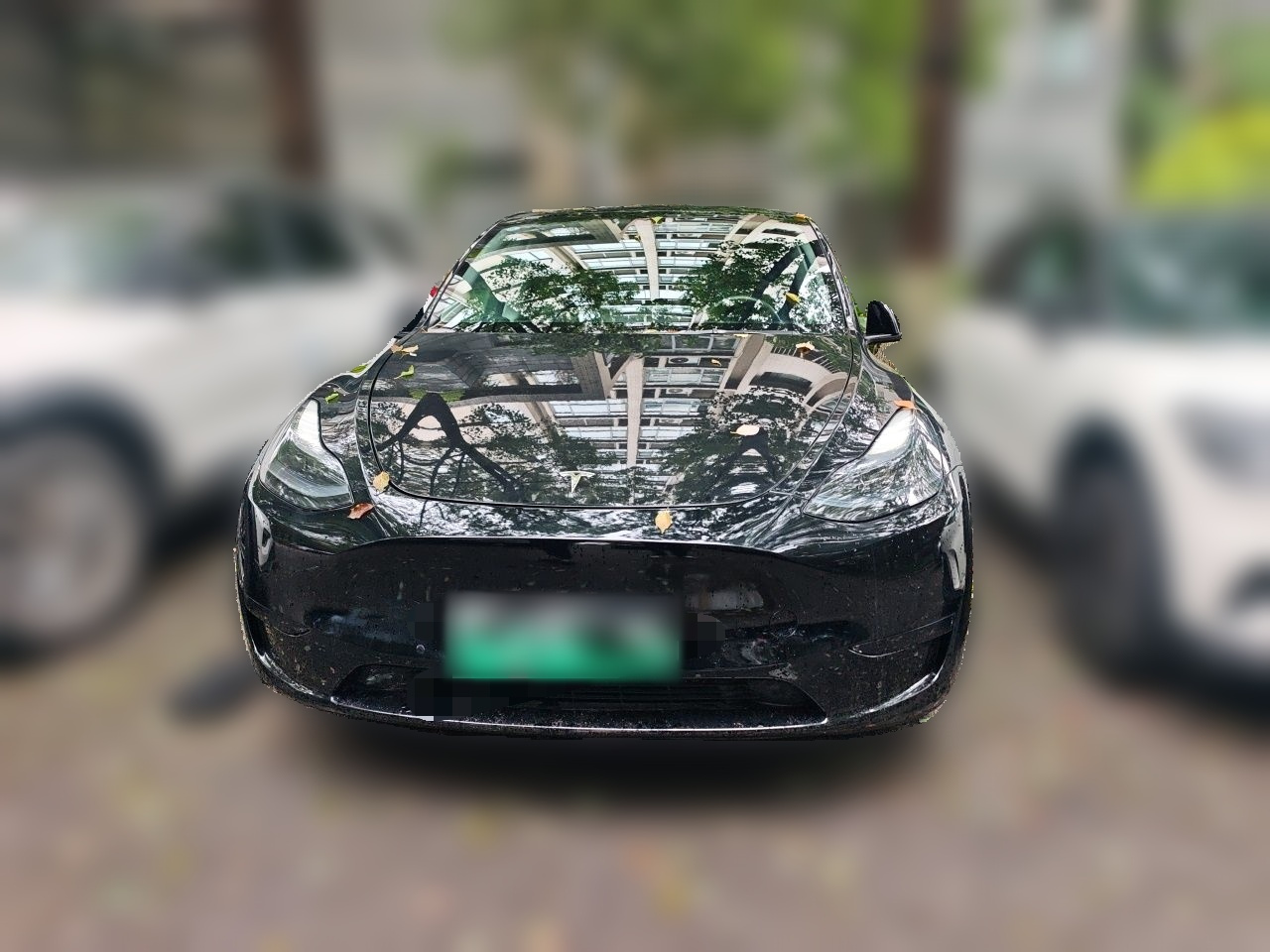 Model Y 2022 Facelift RWD photo 2